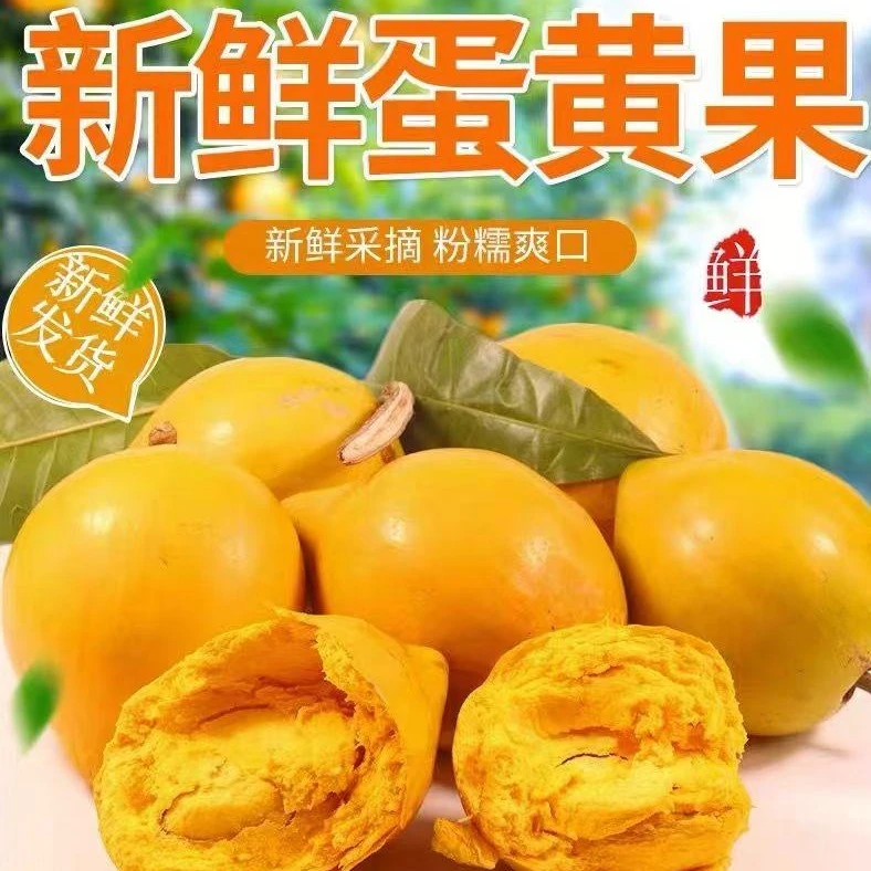 水果当季云南直播正宗售卖包邮蛋黄果大果新鲜贝贝南瓜云南鸡蛋果