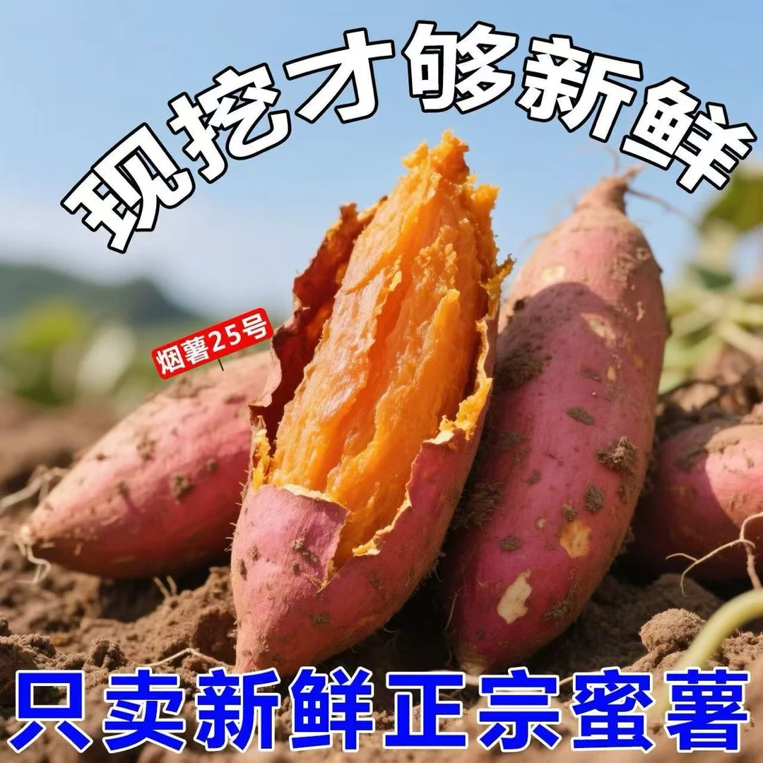 【张班长推荐】正宗烟薯25号蜜薯超甜糖心红薯新鲜现挖地瓜4.8-5斤