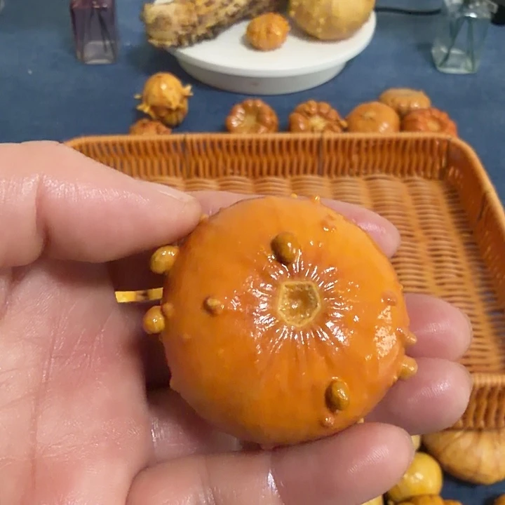 不***好墨西哥七彩疙瘩葫芦