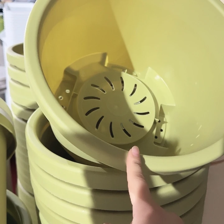 球根盆4号果绿无托5个
