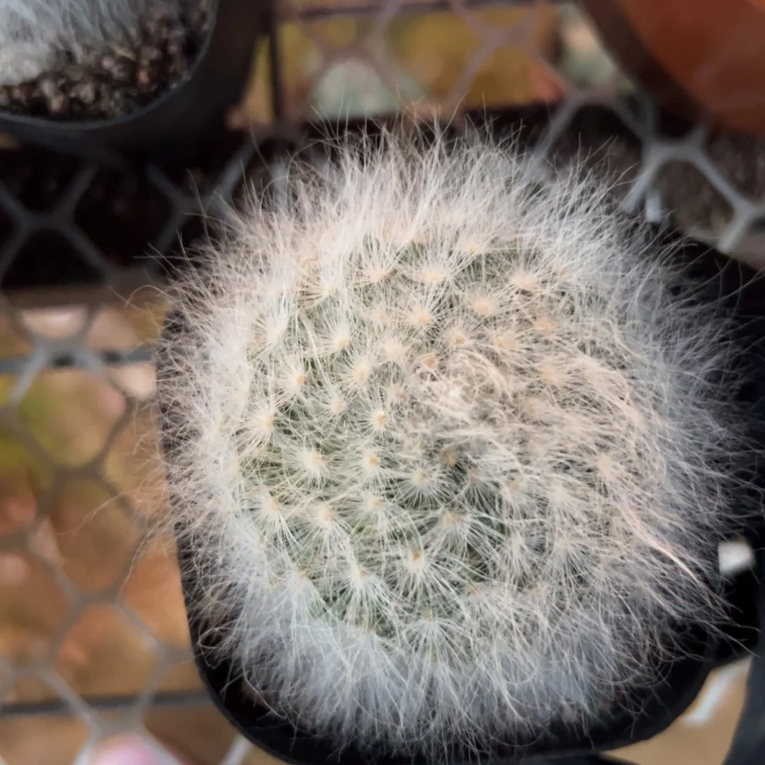 我****哈哈哈哈哈哈哈哈哈哈哈