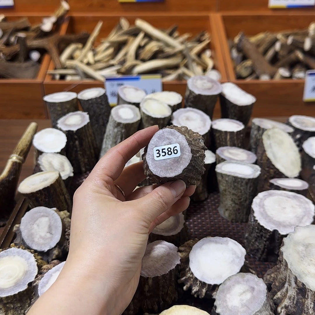 手串/手链鹿骨3586角帽