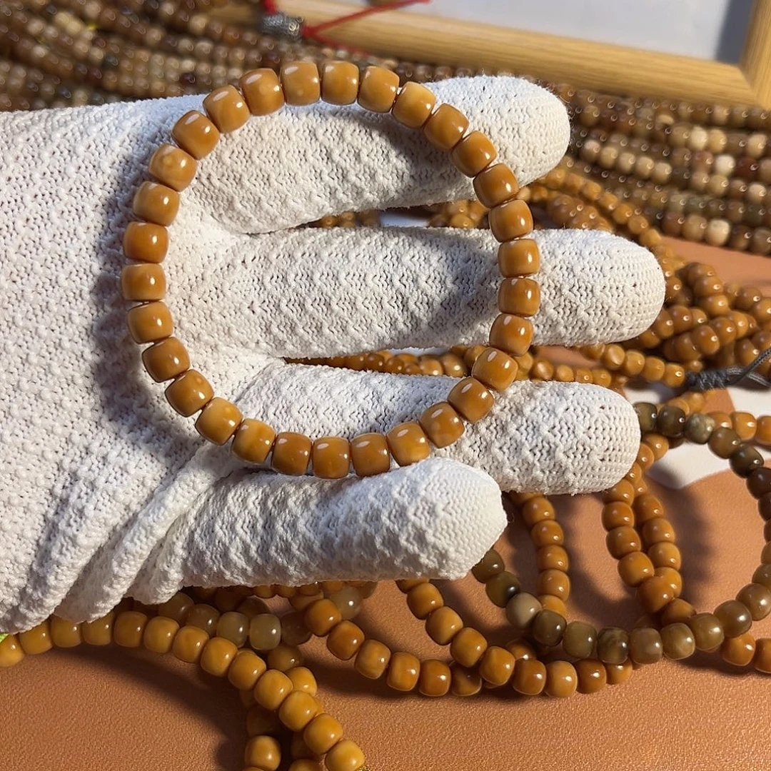 吊坠龙脊菩提¥¥¥¥¥