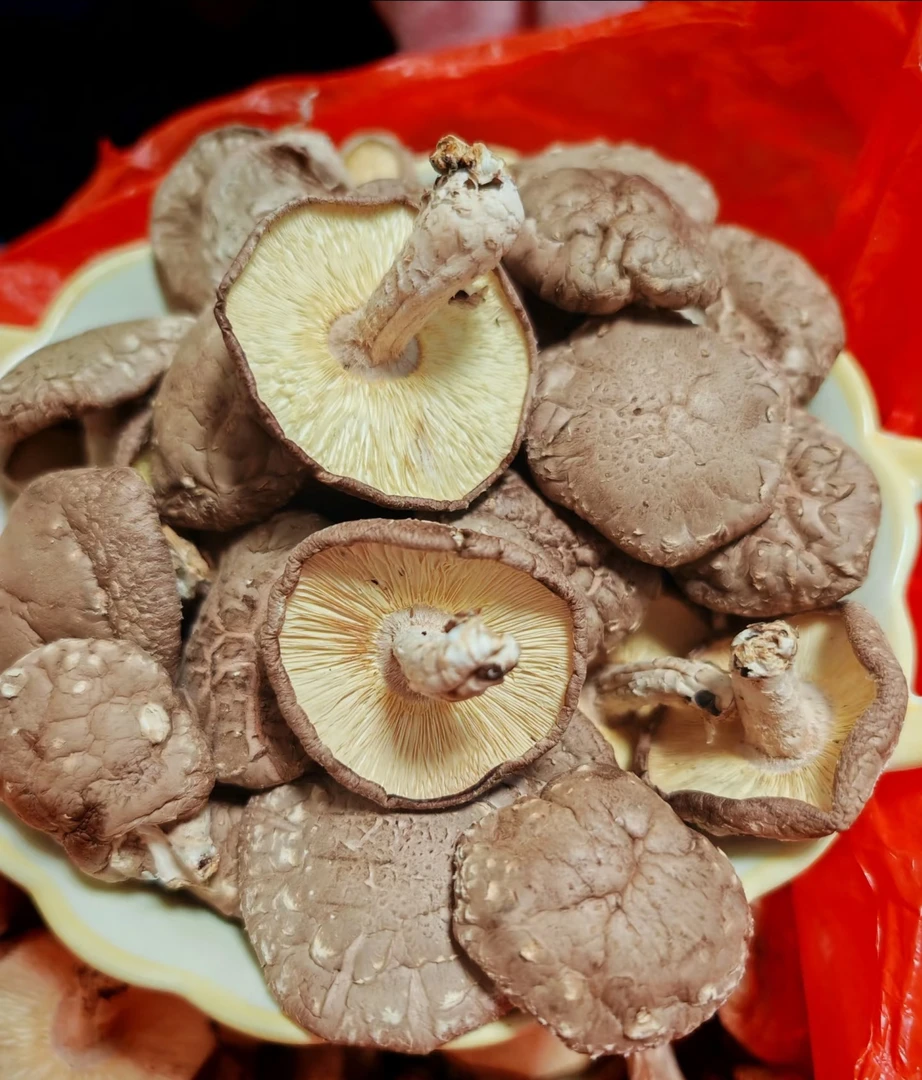 香信菇云南农家好物