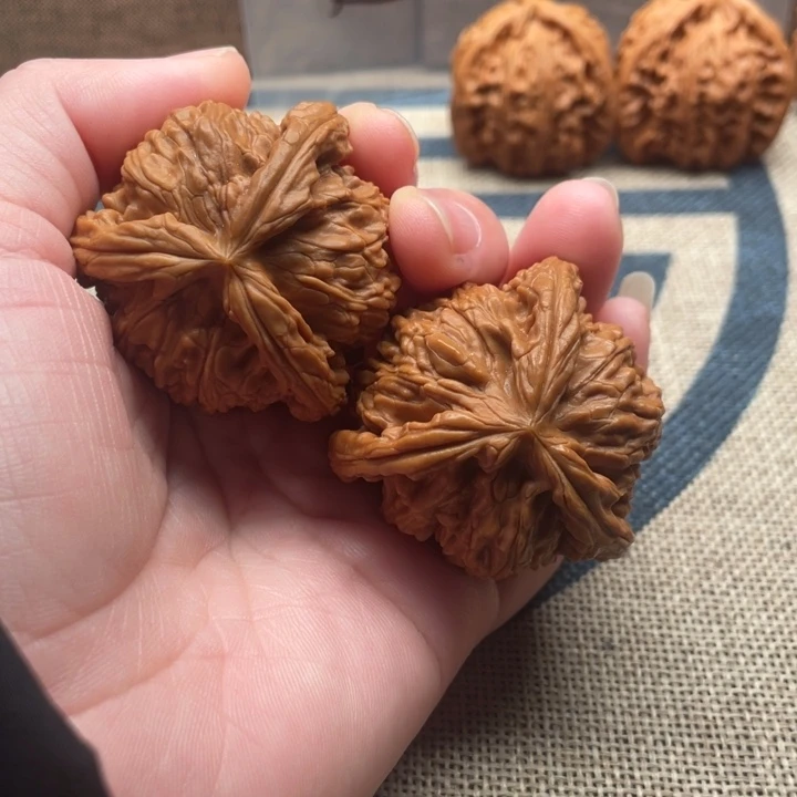 夜***苦核桃白狮子2688核桃
