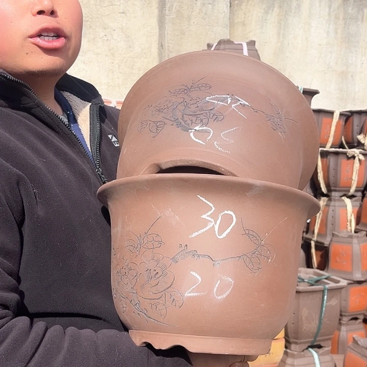 紫砂紫砂花盆盆栽