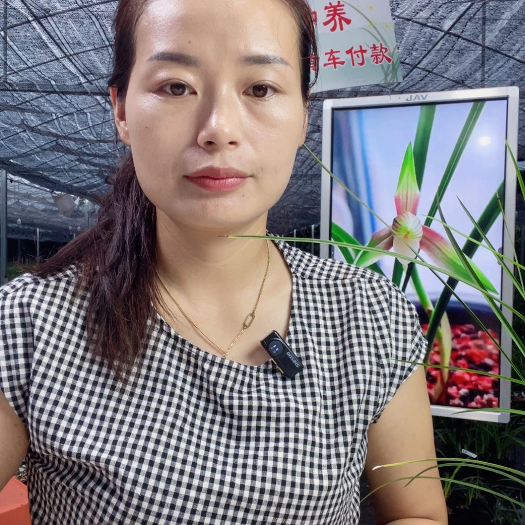 完全开放红苹果寄养