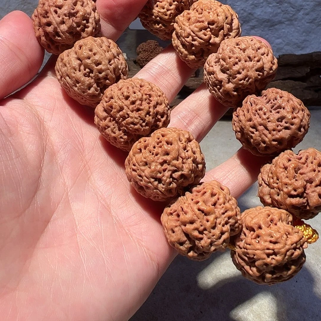 金刚菩提手串24尺寸粗肉蜂王