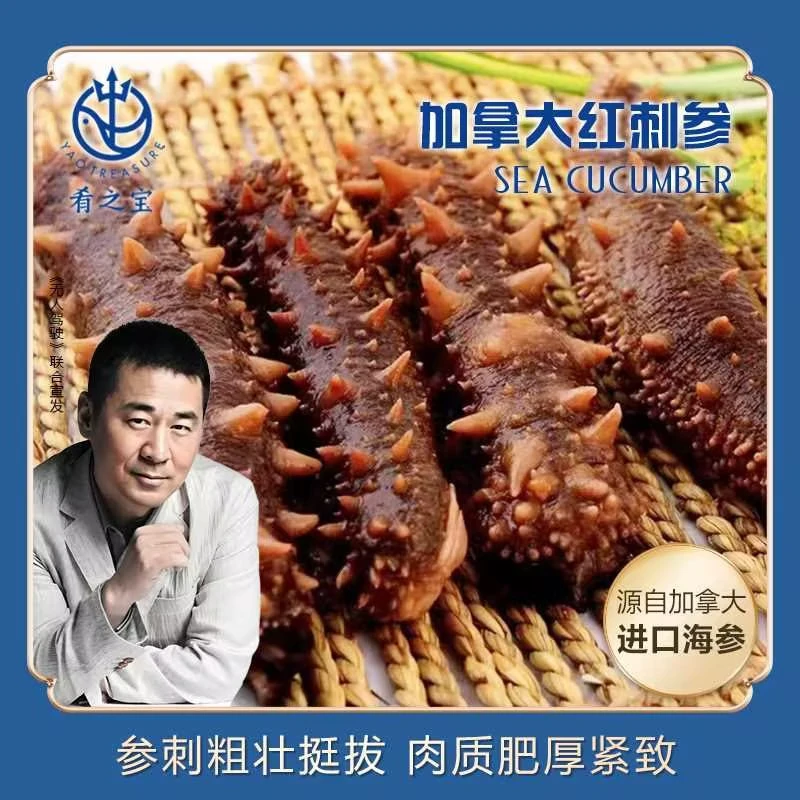 【拍1斤送1斤】进口野生海参4-5头开袋即食加拿大鲜蒸红刺参2斤即食