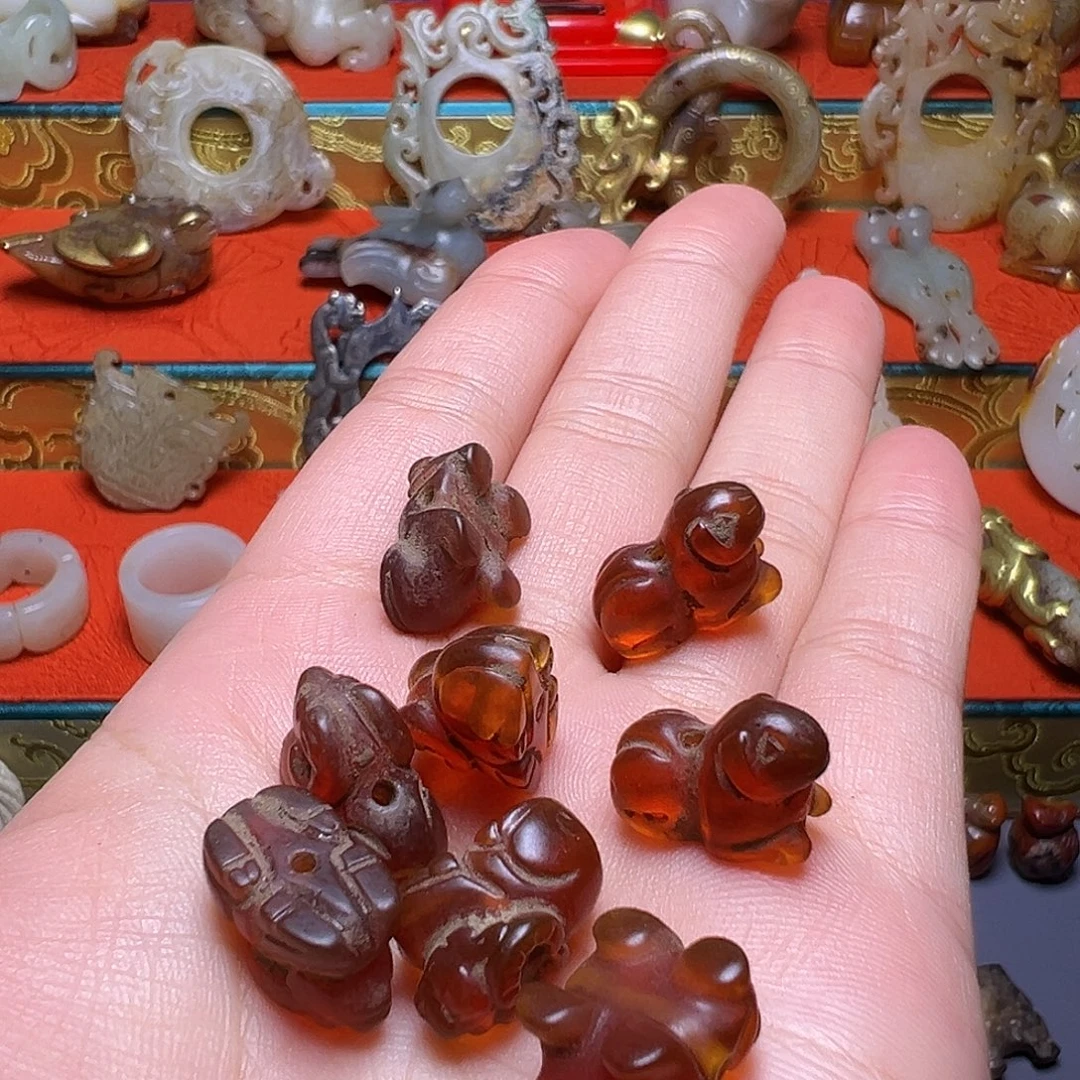 永***轩小动物…………………………