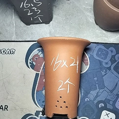 小红兰花两个微瑕