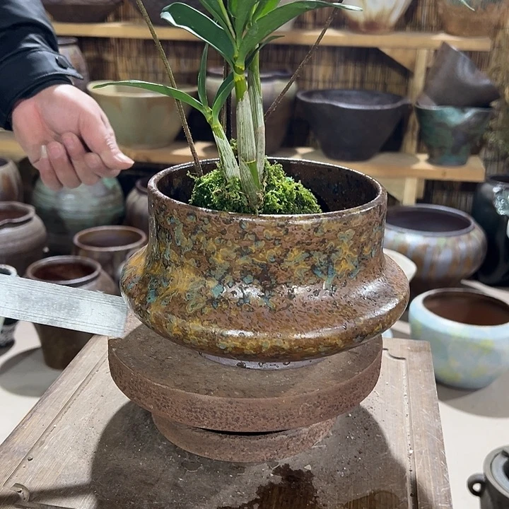 无孔高11/16花盆风格个很好