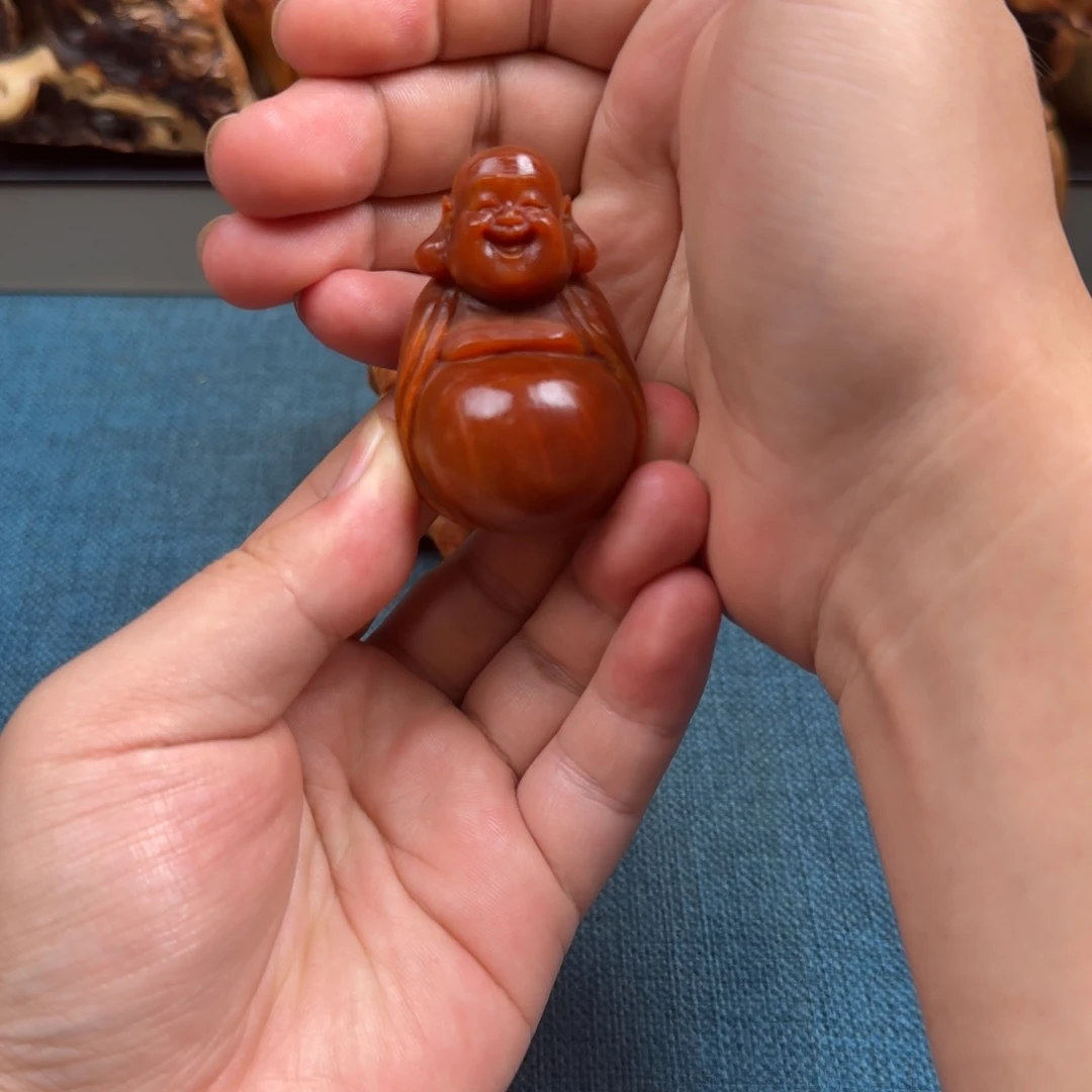 柏木（崖柏）太行崖柏