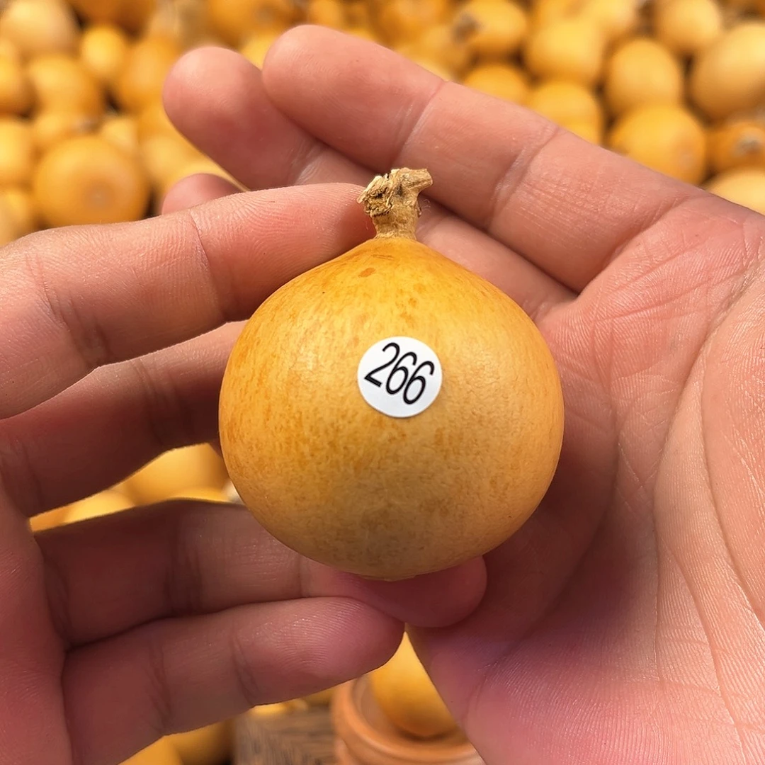 四葫芦葫芦葫芦葫芦266