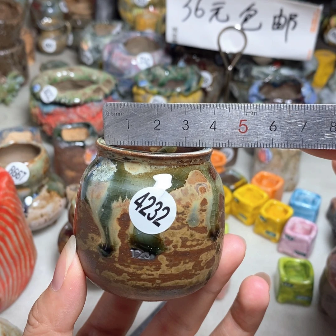 拍5送一个小礼物