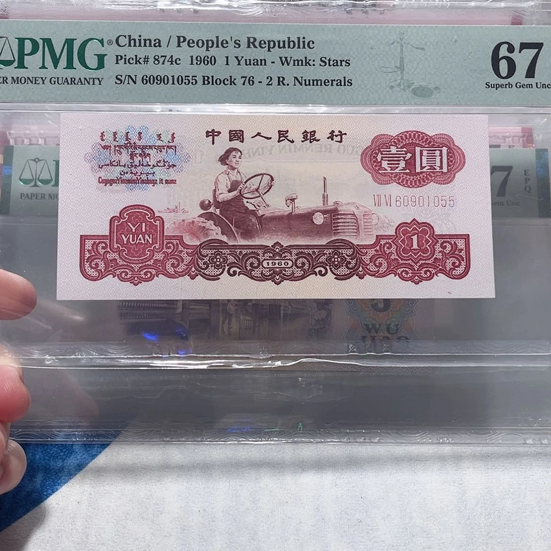 60901055。。。。。。小桃红幸运树