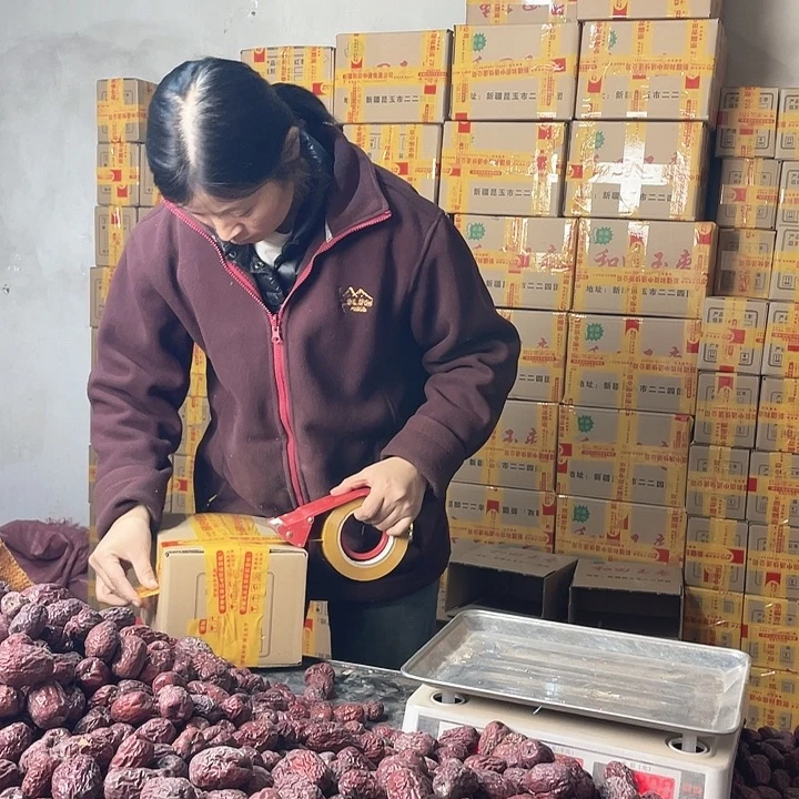 书***香和田红枣树苗一样