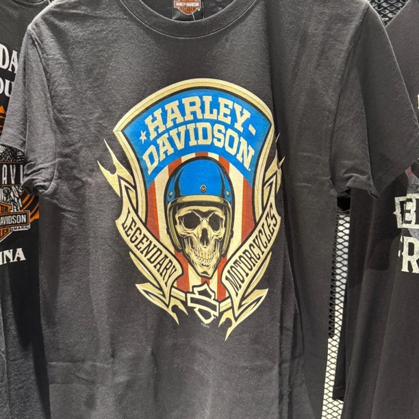 哈雷戴维森城市文化T恤4029131603