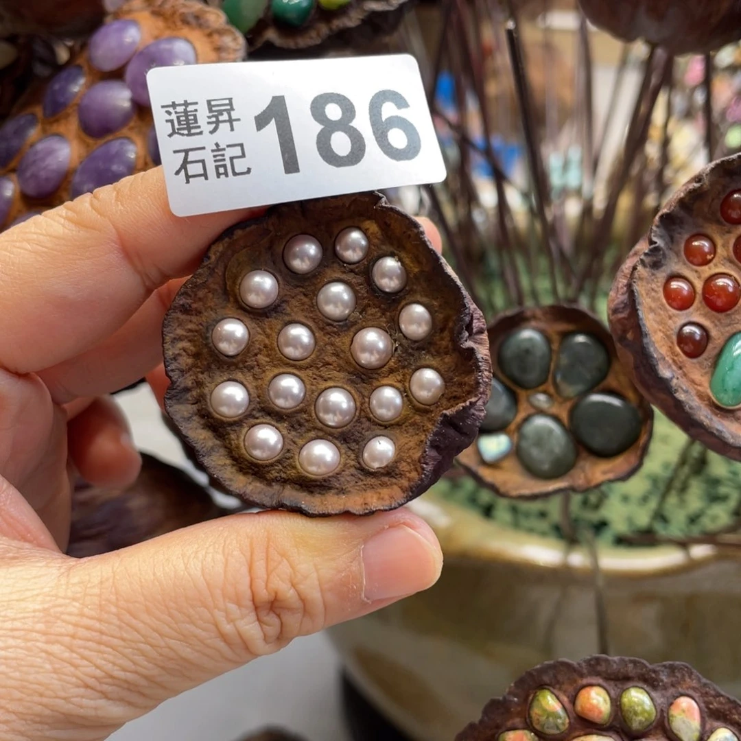 核桃木/黑胡桃（胡桃木）豆*á186