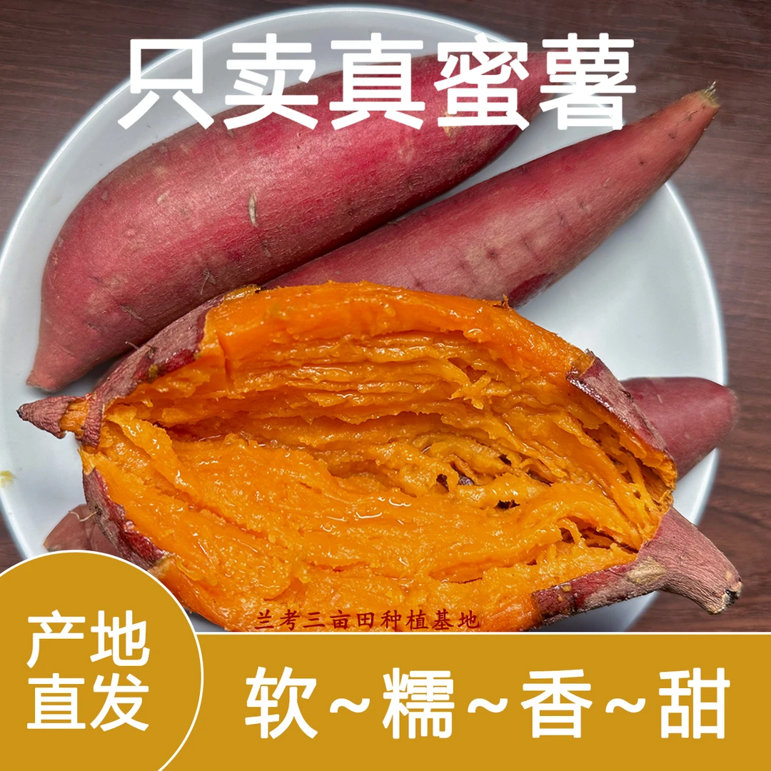 【坏果包赔】河南兰考西瓜红蜜薯香甜皮薄早餐辅食粗粮 5斤装