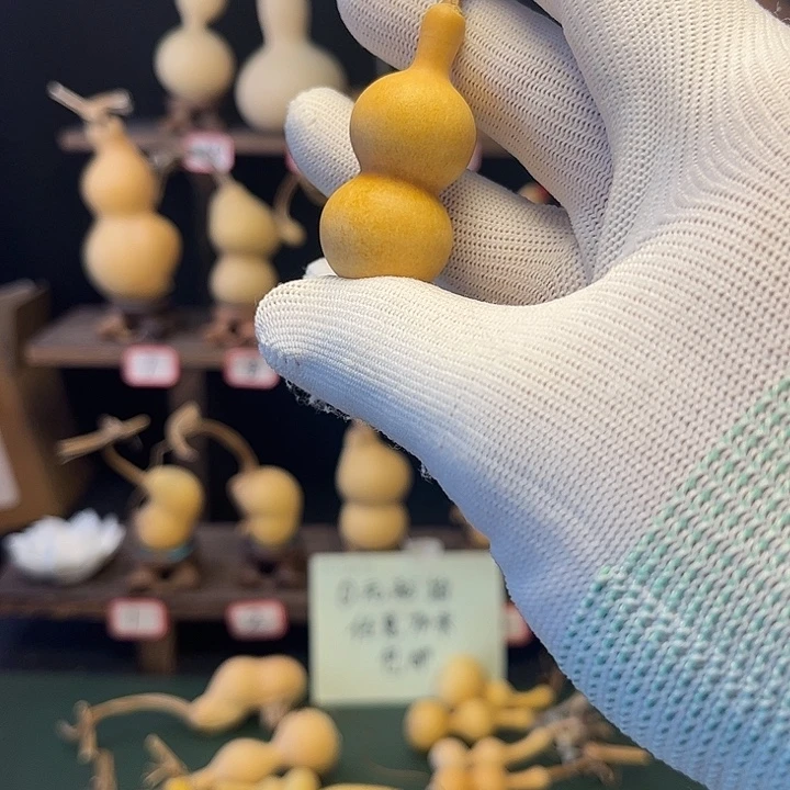 ?波咯啦啦啦德玛西亚啦啦啦