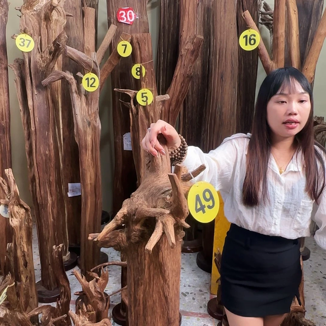 沉香沉香碎屑天然沉香原材料香料熏料