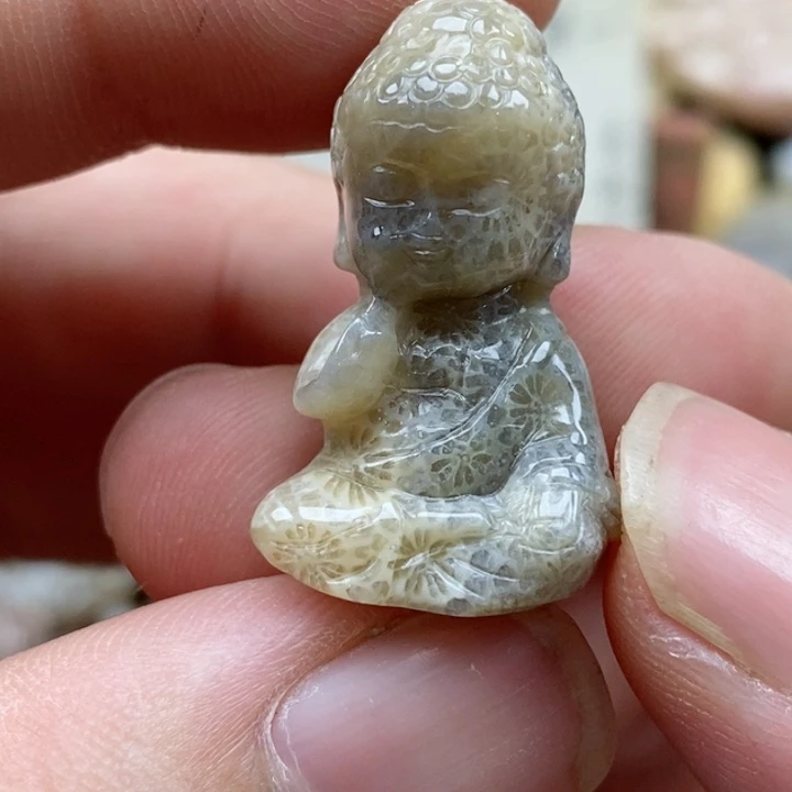 硅化珊瑚（珊瑚玉）未镶嵌颈饰