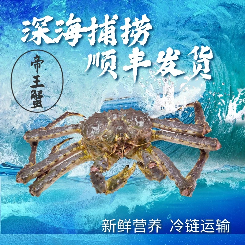 鲜活帝王蟹 鲜甜当季 【顺丰包邮】可活发可现切