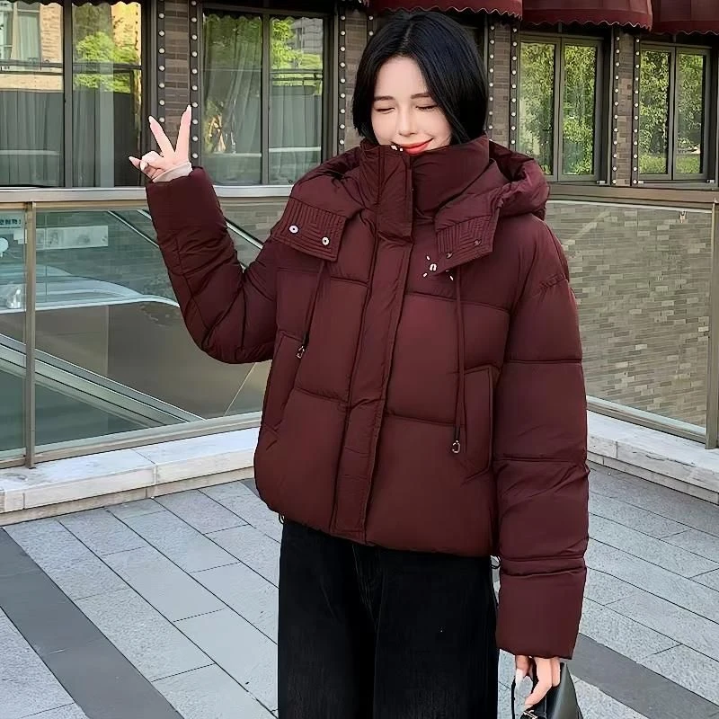 拉链常规长袖棉衣棉服加厚简约连帽女装百搭网红女士冬季秋冬