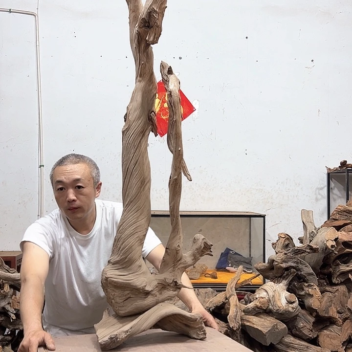 柏木西****勇我们的生活也是如此的丰富