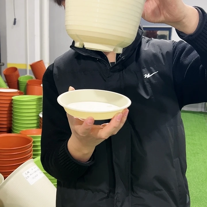 正品矮陶口15高11白色10只带托