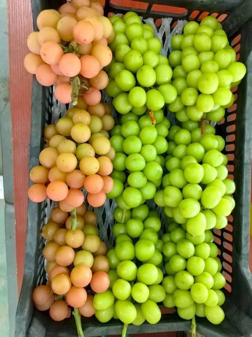 贾汪汴塘特价特产