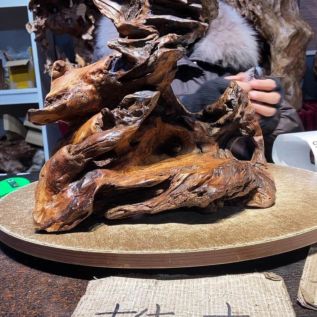 冰***064。株木随行根艺