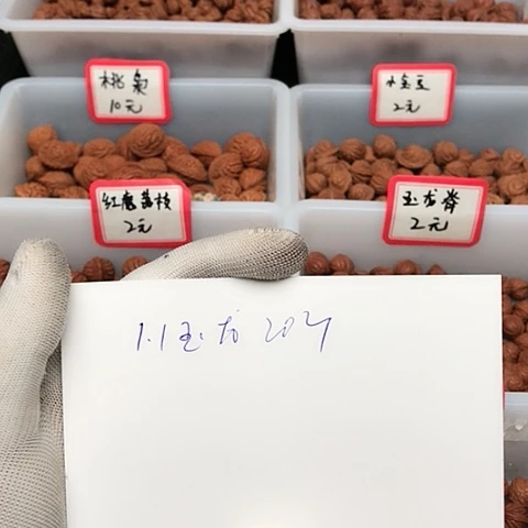 桃核吊坠赞*龙纹桃核的搭配