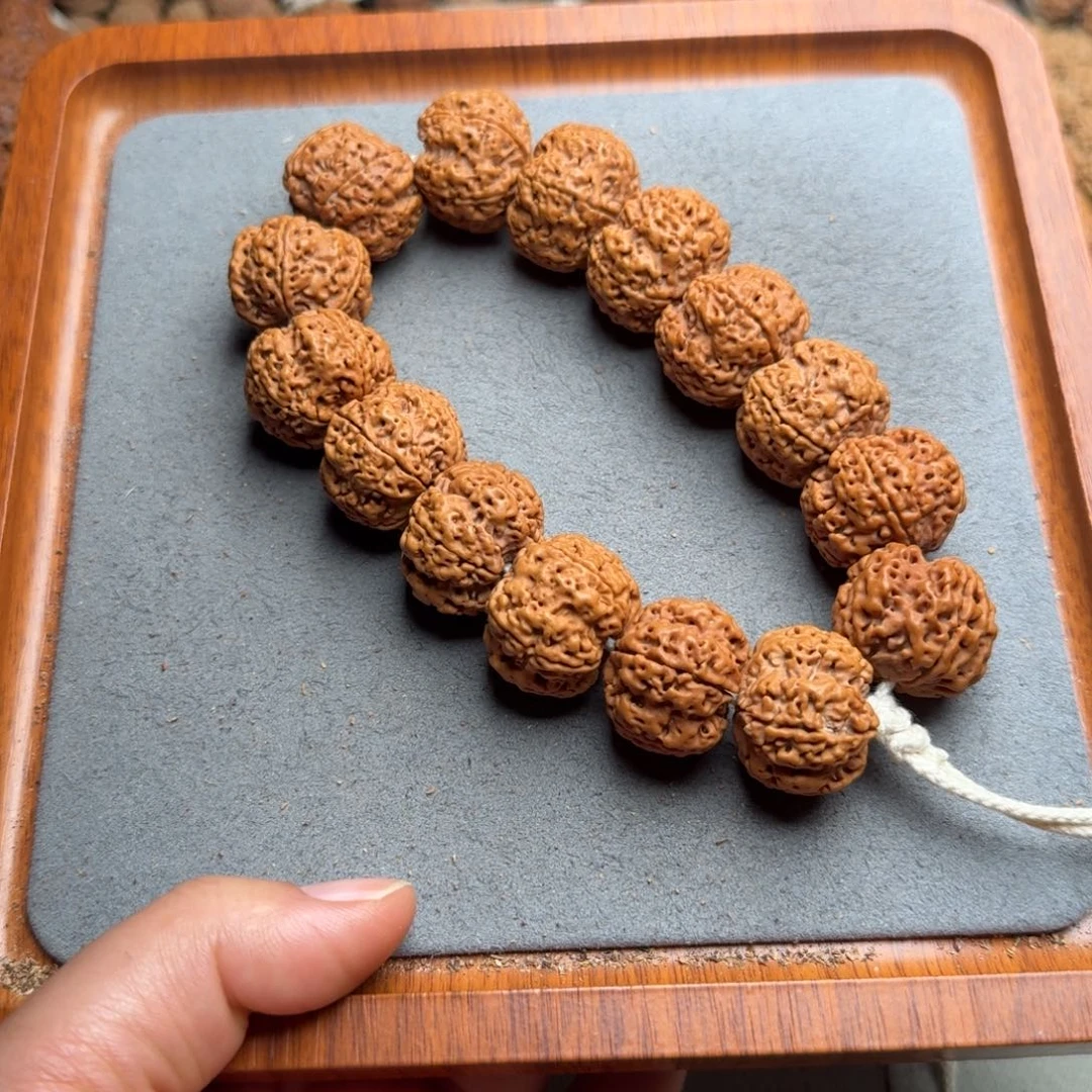 菩提菩提7号尼泊尔大金刚24满肉蜂窝