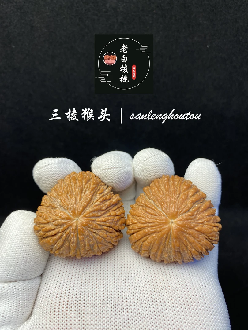 涞水老白核桃：三棱猴头，涞水直发文玩核桃产地特色盘玩手把件