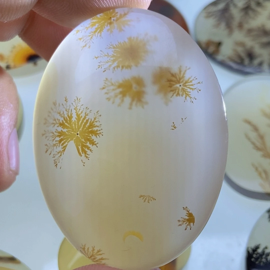 【闪购商品】未镶嵌颈饰玛瑙/玉髓东*