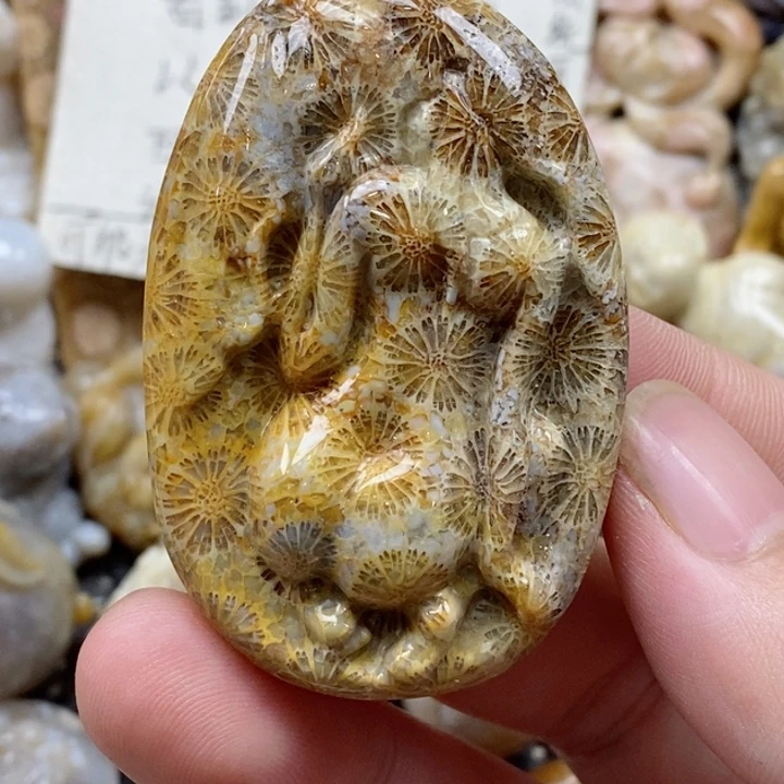 颈饰未镶嵌硅化珊瑚（珊瑚玉）有瑕