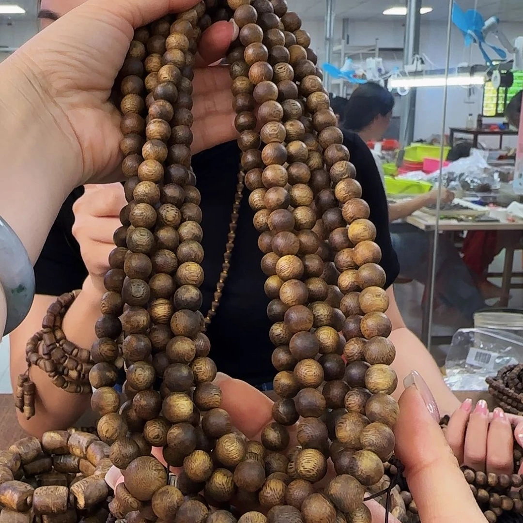 手串沉香多样性发货1条金丝油原母树一代苗99931