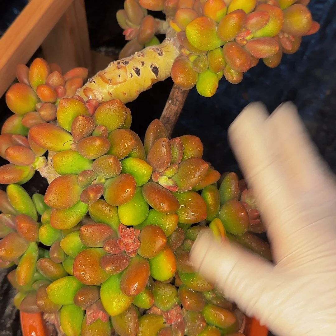 你****~嗯哦哦哦哦哦哦哦哦哦