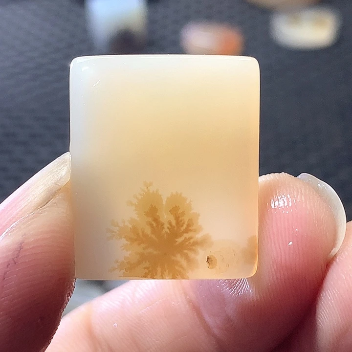 未镶嵌颈饰玛瑙/玉髓