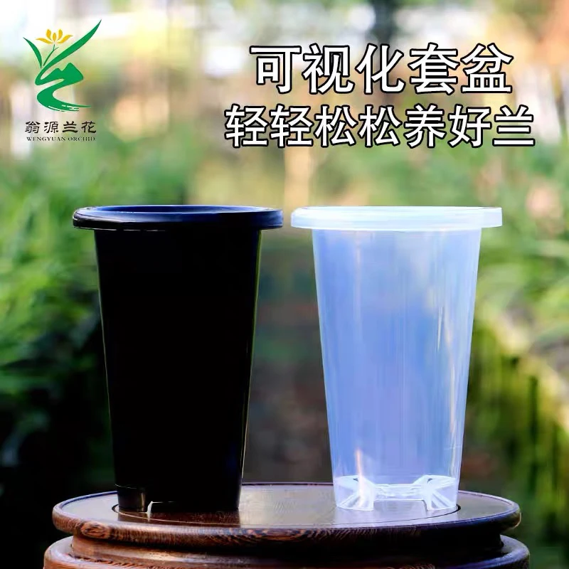 透明与黑色搭配加厚加高塑料兰花套盆专用养兰花盆