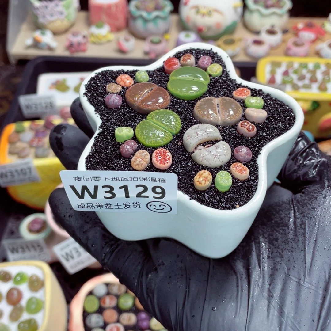 夜间零下地区拍保温箱w3129