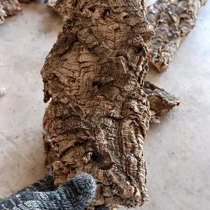 木一物一拍一物一发