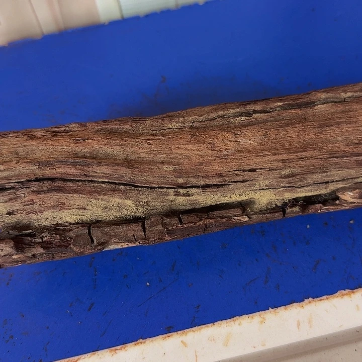 晚***吹降真香其他不退换定制