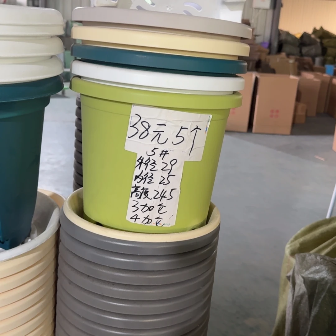 四季5#口径29无拖果绿5个