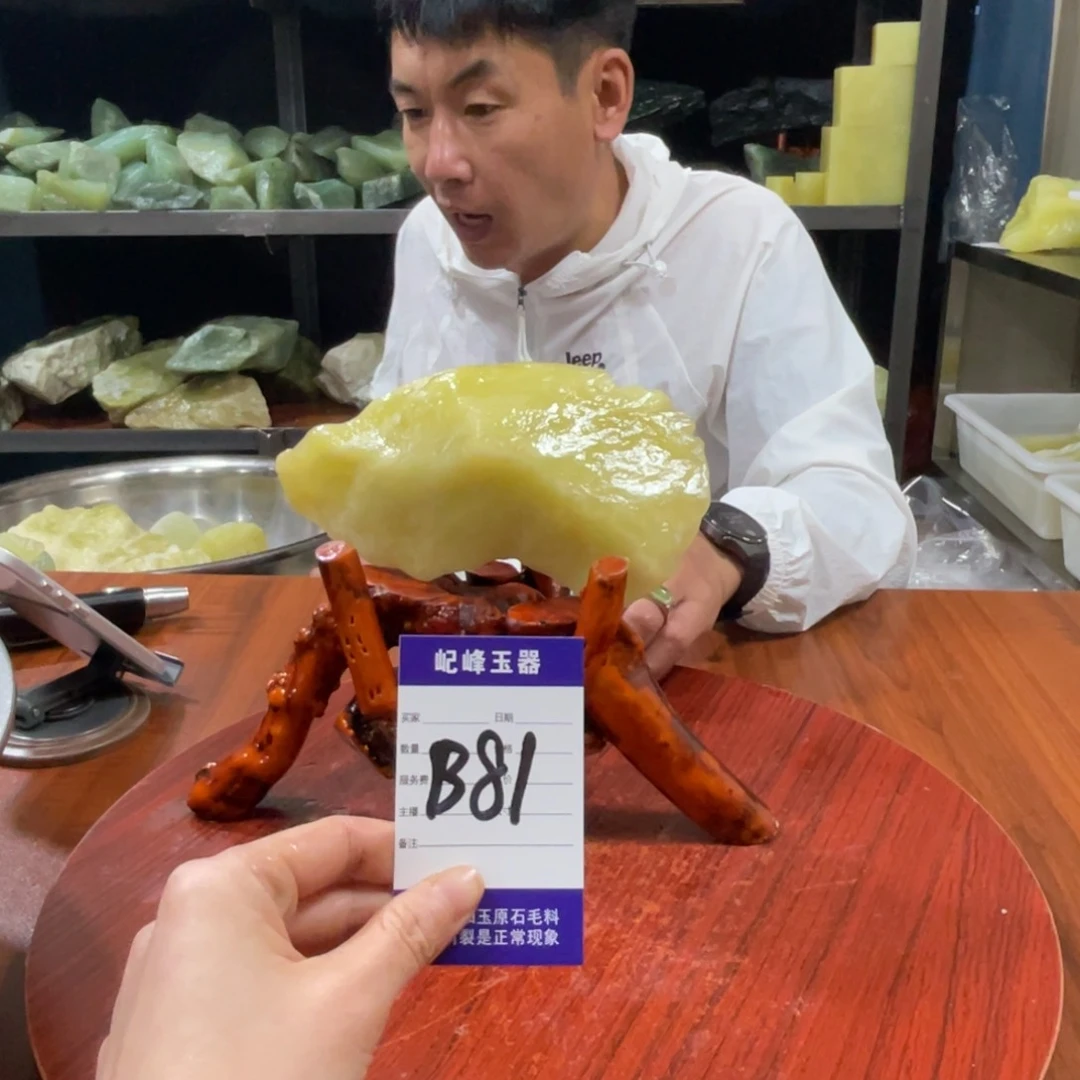 蛇纹石玉未镶嵌原石B81
