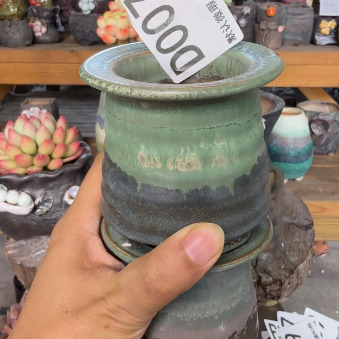 重庆小燕子欢迎大家007