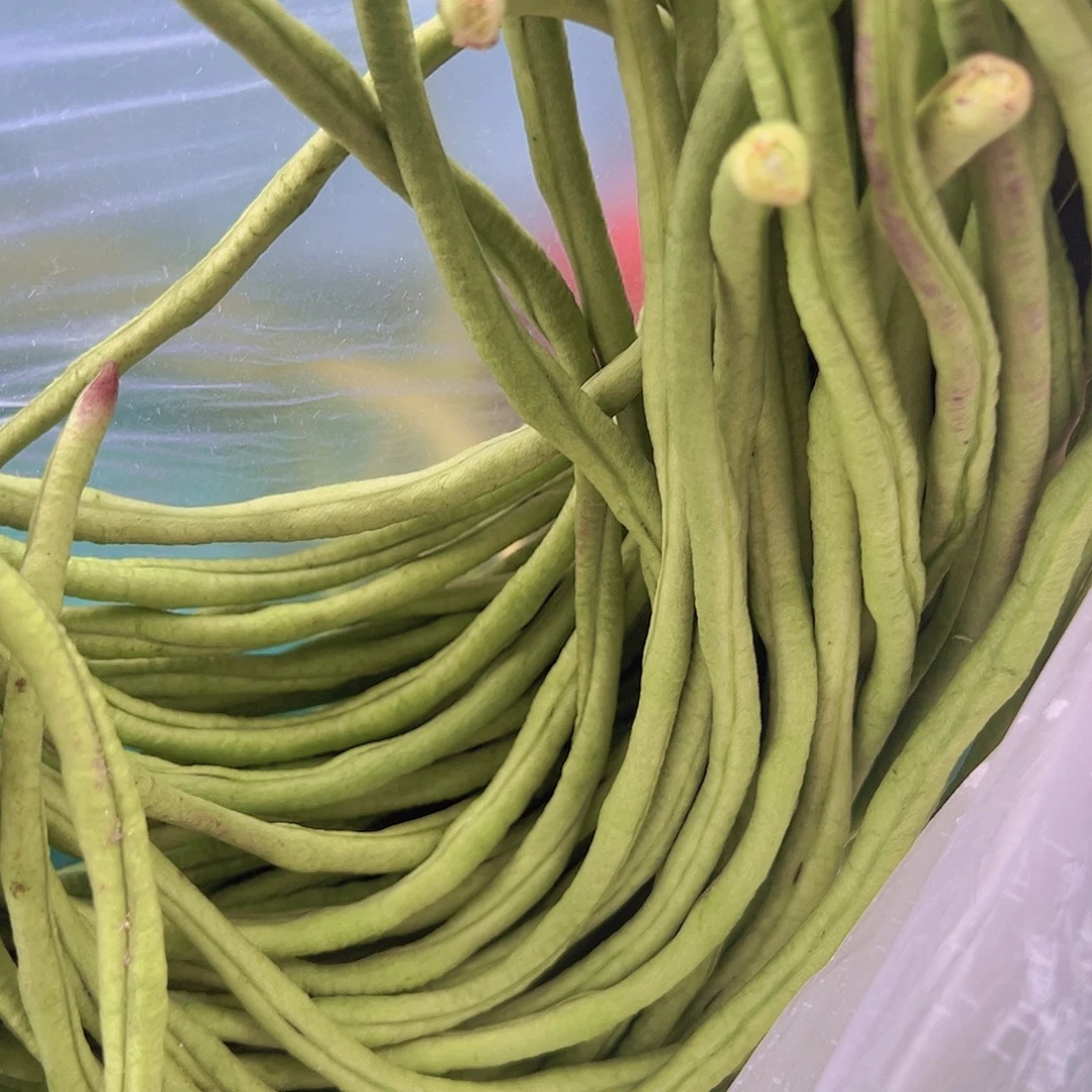 玲***黄姜中国大陆代购茭白+长豆