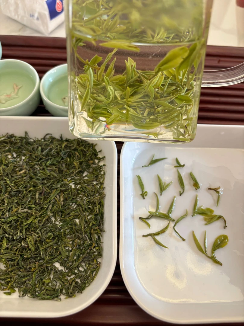 【现炒现发 露天头采开园料】2025日照绿茶手工炒制鸡汤鲜兰花香浓